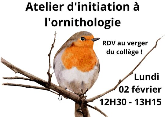 atelier ornithologie.jpg